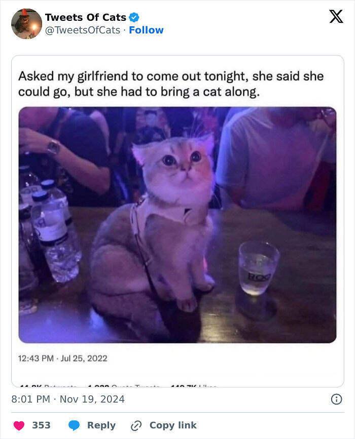 99 Quirky Cat Memes That Prove They’re Delightfully Odd Creatures