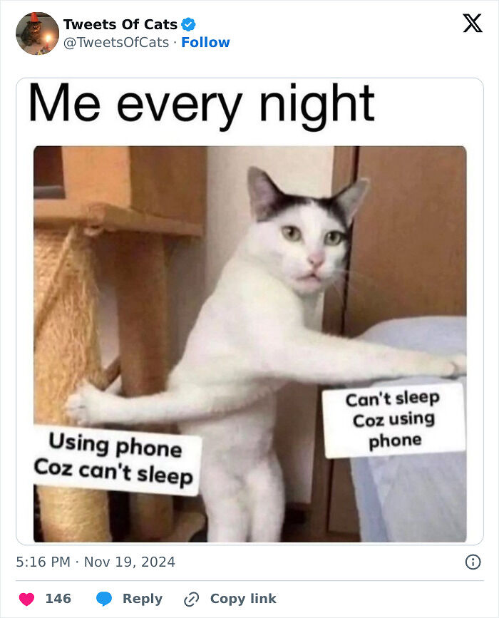 99 Quirky Cat Memes That Prove They’re Delightfully Odd Creatures