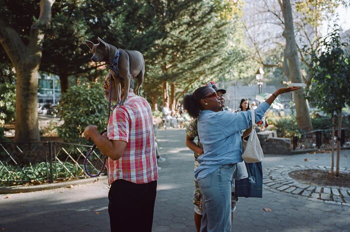 50 Unforgettable Moments Captured On The Streets By Billy Dinh