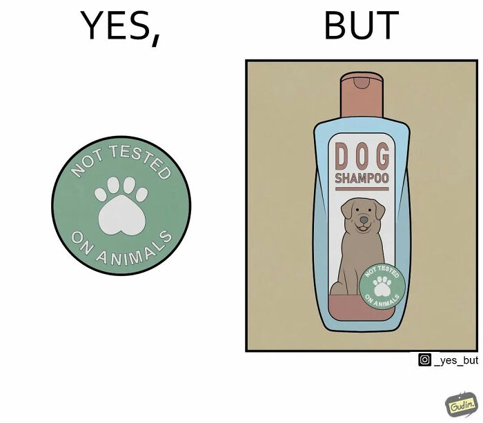 Artist Uses Comics To Capture Life’s Absurdities, And Here Are His 50 Best Strips