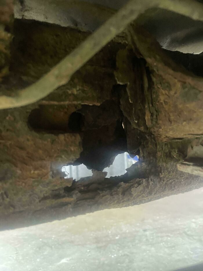 43 Times Customers Left Mechanics Speechless With What Just Rolled Into Their Shops (New Pics)