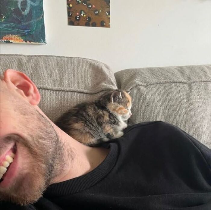 139 Adorable And Wholesome Cat Pics And Stories