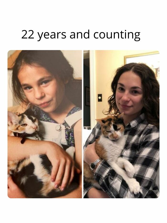 139 Adorable And Wholesome Cat Pics And Stories