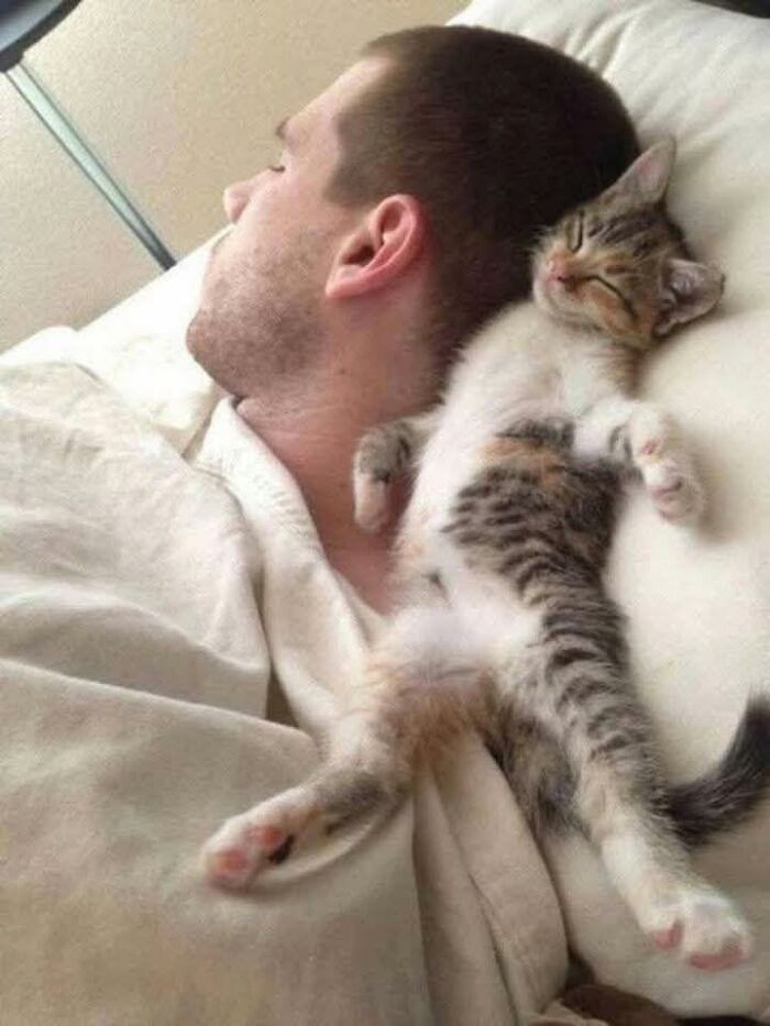 139 Adorable And Wholesome Cat Pics And Stories