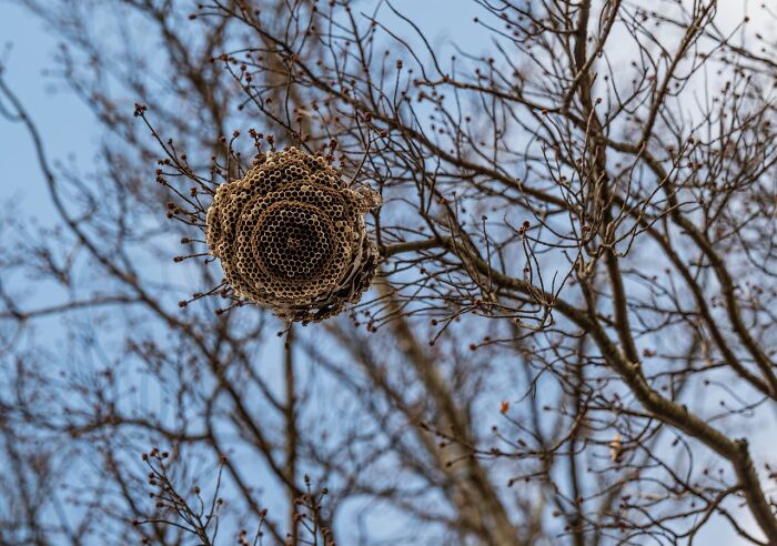 111 People Share The Creepiest Things They Encounter While Alone In The Woods