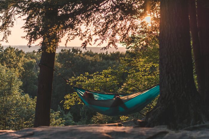 111 People Share The Creepiest Things They Encounter While Alone In The Woods