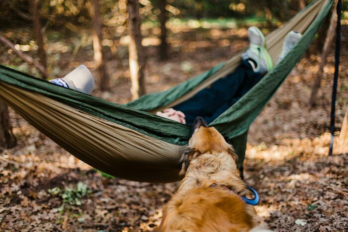 111 People Share The Creepiest Things They Encounter While Alone In The Woods