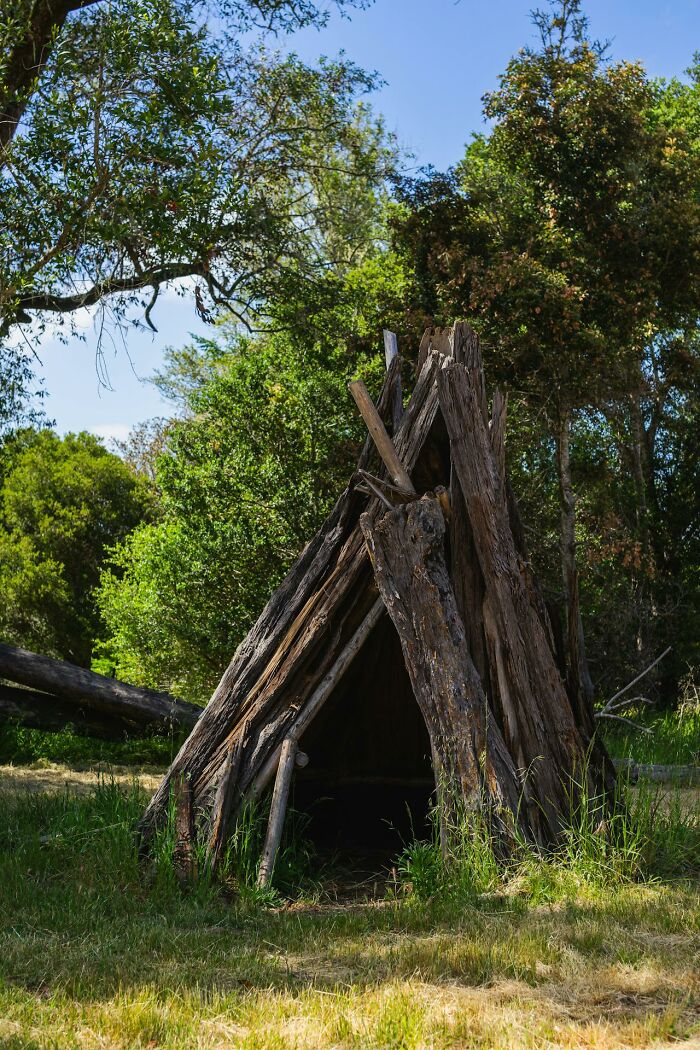 111 People Share The Creepiest Things They Encounter While Alone In The Woods