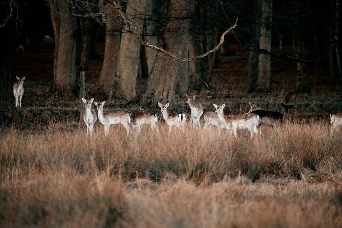 111 People Share The Creepiest Things They Encounter While Alone In The Woods