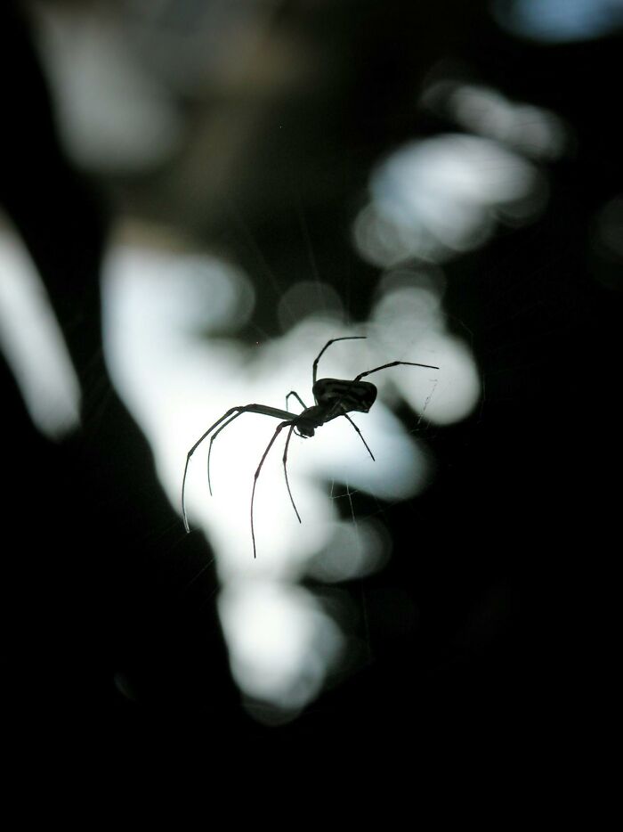 111 People Share The Creepiest Things They Encounter While Alone In The Woods