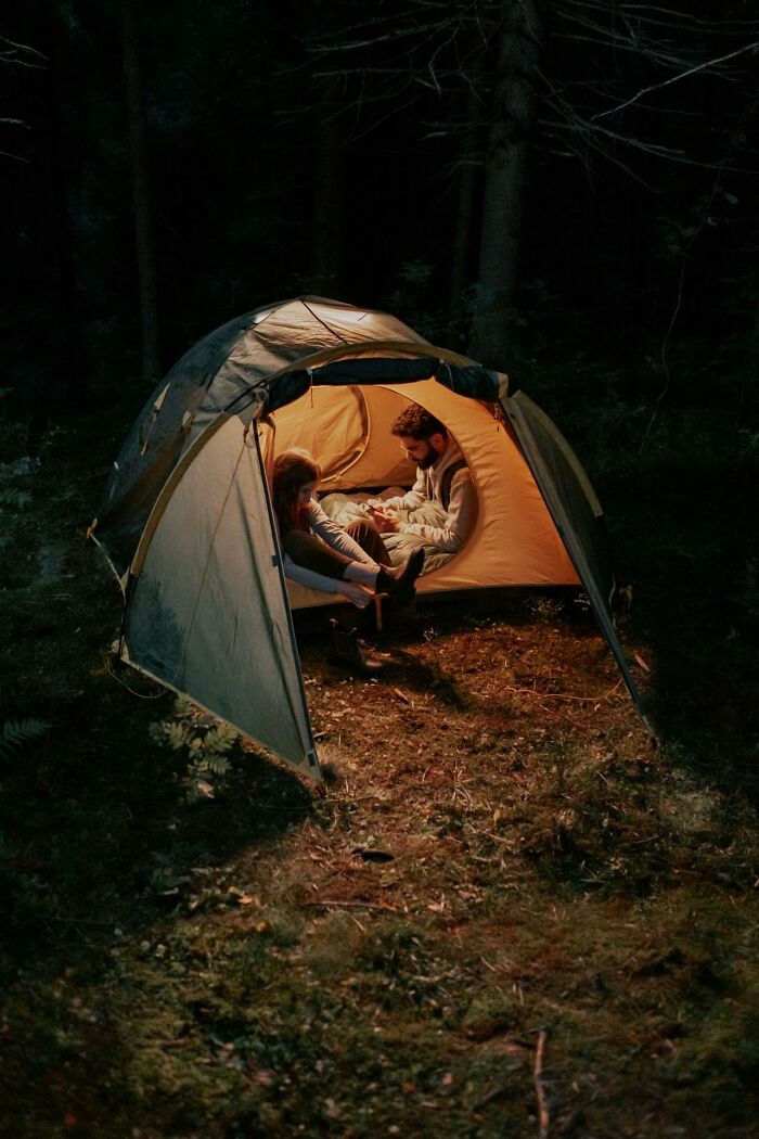 111 People Share The Creepiest Things They Encounter While Alone In The Woods