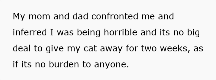 Pregnant Sis Demands Cat Be Removed During Visit, Older Sis Refuses, Parents Secretly Intervene