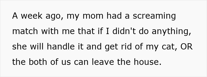 Pregnant Sis Demands Cat Be Removed During Visit, Older Sis Refuses, Parents Secretly Intervene