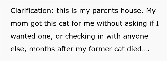 Pregnant Sis Demands Cat Be Removed During Visit, Older Sis Refuses, Parents Secretly Intervene
