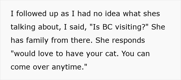 Pregnant Sis Demands Cat Be Removed During Visit, Older Sis Refuses, Parents Secretly Intervene