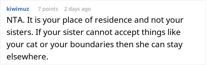 Pregnant Sis Demands Cat Be Removed During Visit, Older Sis Refuses, Parents Secretly Intervene