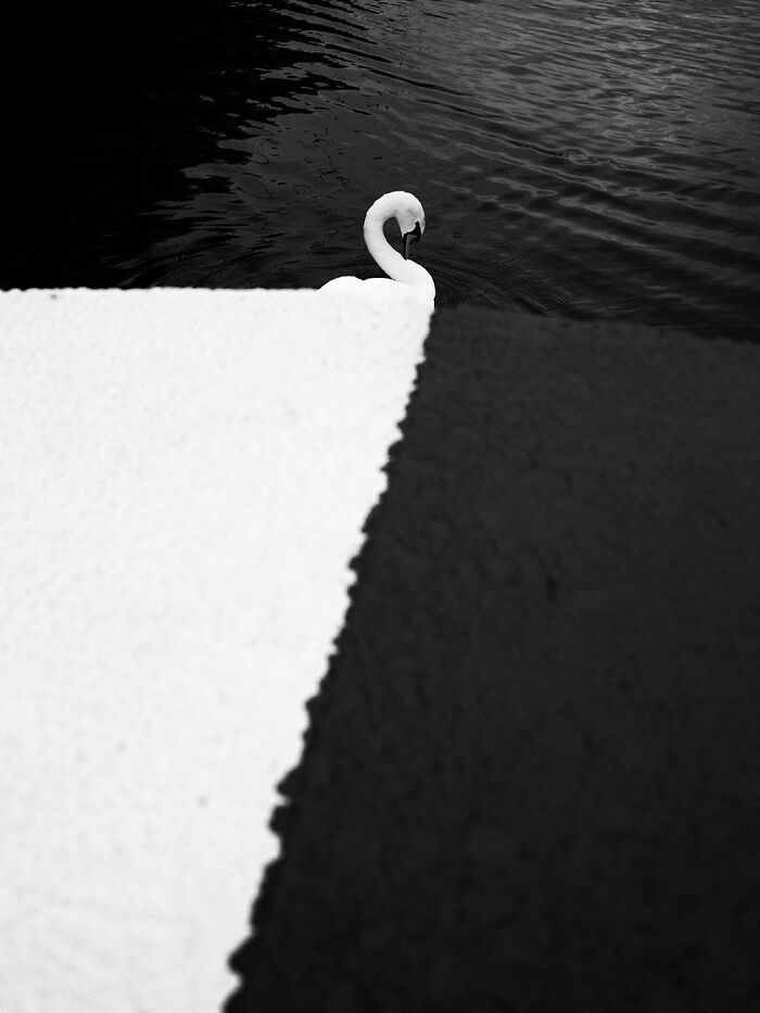 The Winners Of The 2025 Minimalism Photography Awards Have Been Announced (35 Pics)