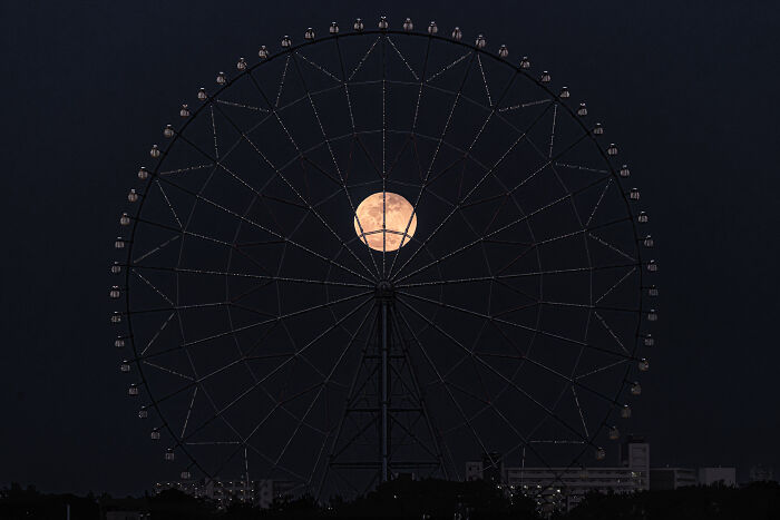 The Winners Of The 2025 Minimalism Photography Awards Have Been Announced (35 Pics)