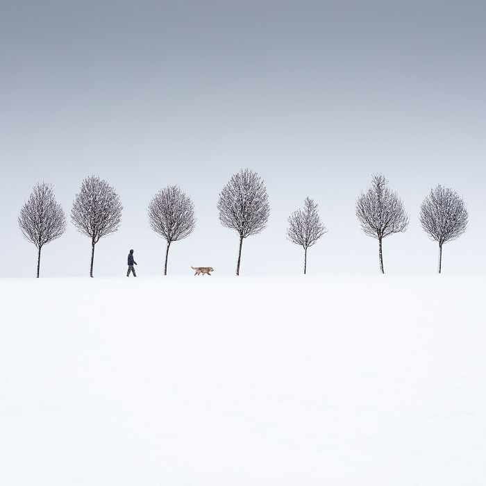 The Winners Of The 2025 Minimalism Photography Awards Have Been Announced (35 Pics)