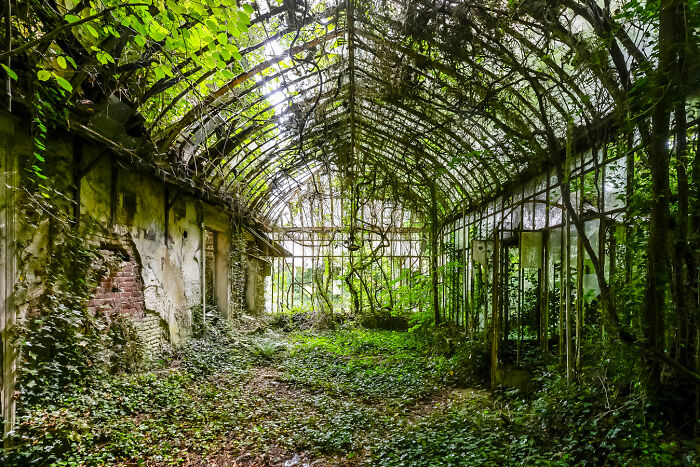 “Secret Gardens”: I Photographed Abandoned Greenhouses Around The World (19 Pics)