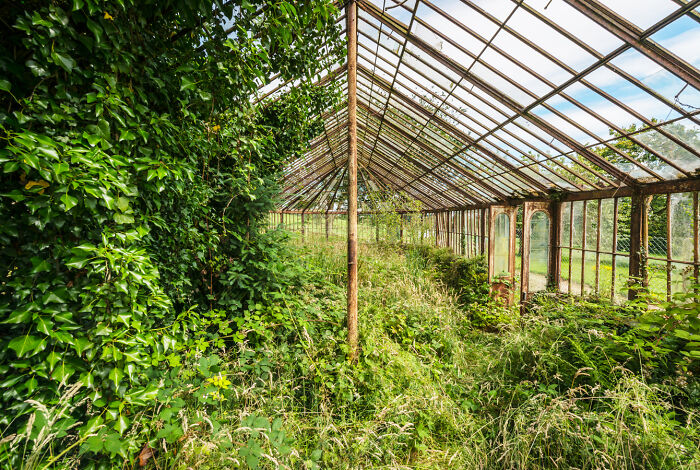 “Secret Gardens”: I Photographed Abandoned Greenhouses Around The World (19 Pics)