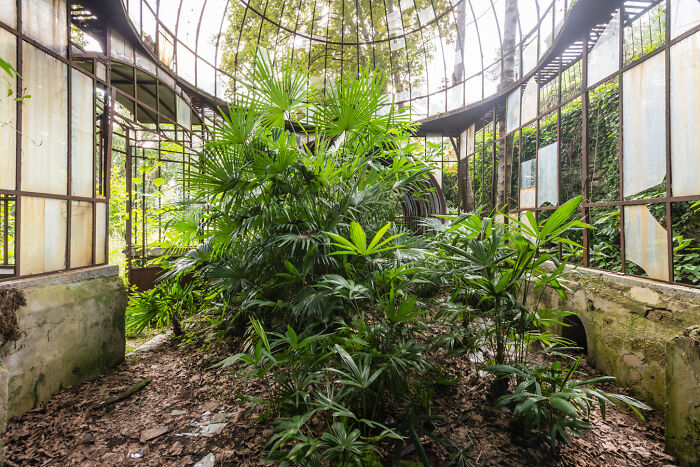 “Secret Gardens”: I Photographed Abandoned Greenhouses Around The World (19 Pics)
