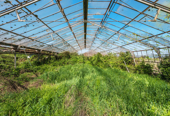 “Secret Gardens”: I Photographed Abandoned Greenhouses Around The World (19 Pics)