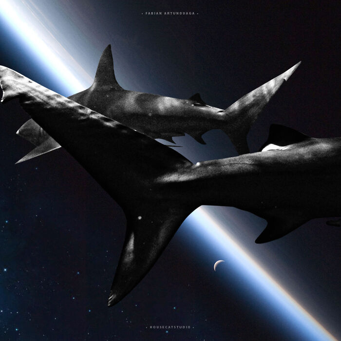 I Made 23 Digital Collages That Bend Space And Reality