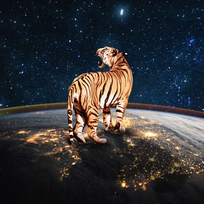 I Made 23 Digital Collages That Bend Space And Reality