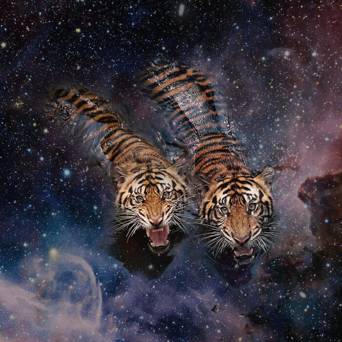 I Made 23 Digital Collages That Bend Space And Reality