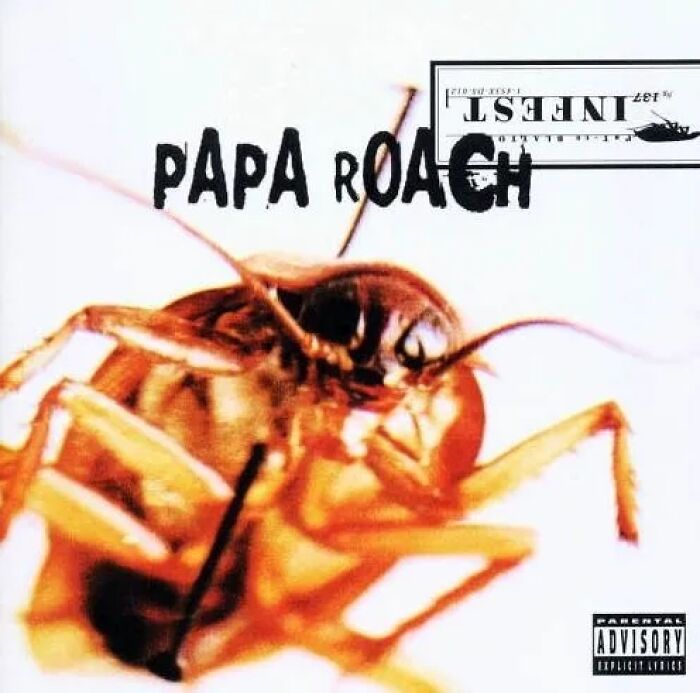 From Cringeworthy To Comical &#8211; 29 Of The Worst Album Covers That Netizens Simply Loathe