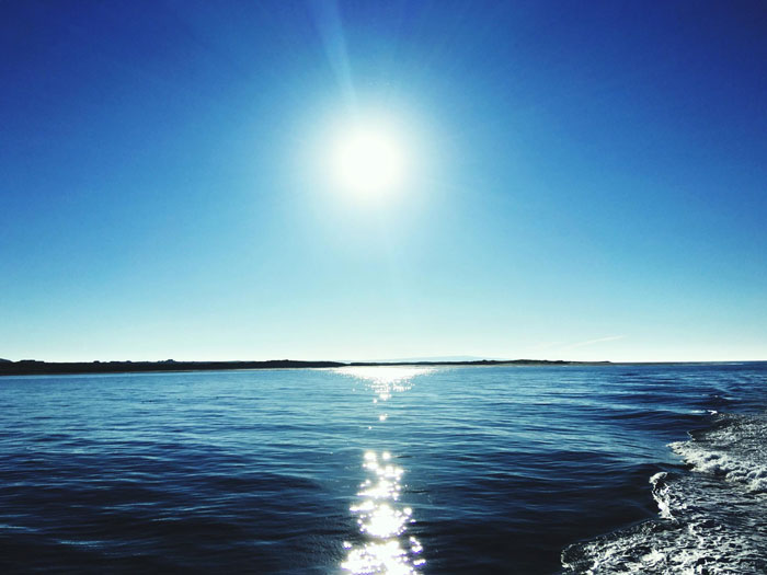 Scientists Finally Learn Why The Sun Turned Blue And The World Froze For Months In 1831