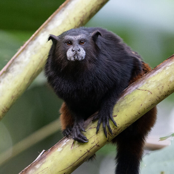 40 Mesmerizing Wildlife Photos From Around The Globe By Daniel Rosengren