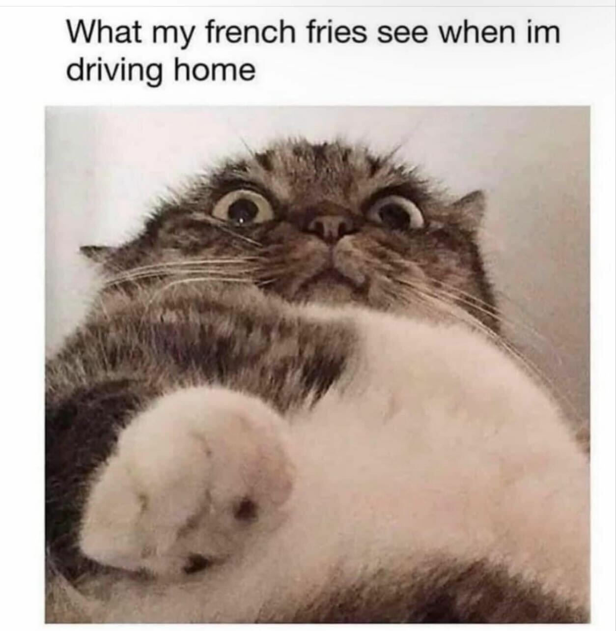 Readers’ Vote: 46 Fat Jokes With The Best Intentions At Heart