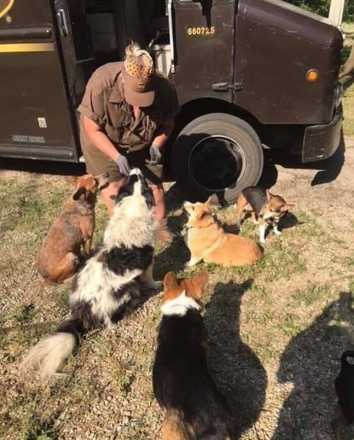 145 Times UPS Drivers Met Adorable Pets And Couldn’t Help But Brag (New Pics)