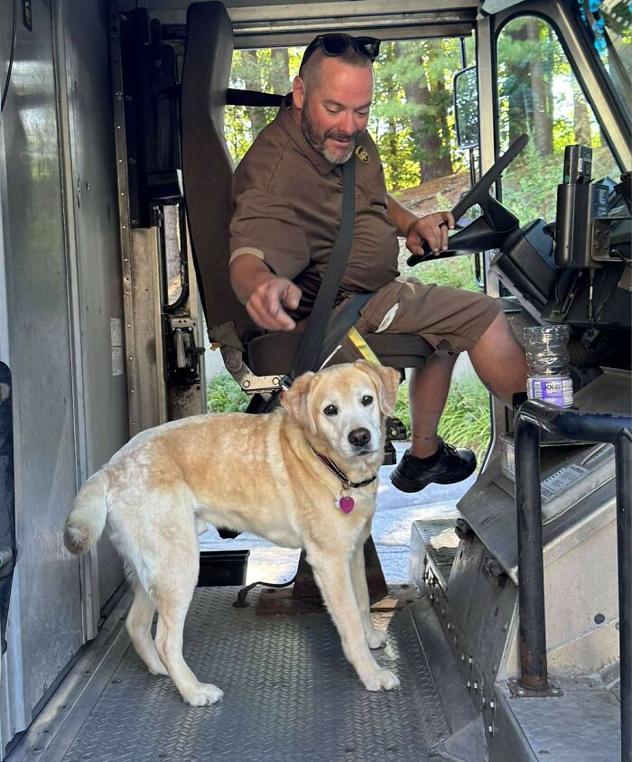 145 Times UPS Drivers Met Adorable Pets And Couldn’t Help But Brag (New Pics)