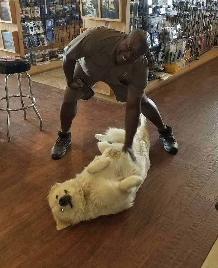 145 Times UPS Drivers Met Adorable Pets And Couldn’t Help But Brag (New Pics)