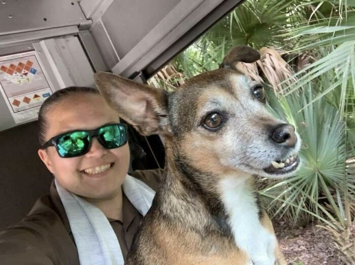 145 Times UPS Drivers Met Adorable Pets And Couldn’t Help But Brag (New Pics)