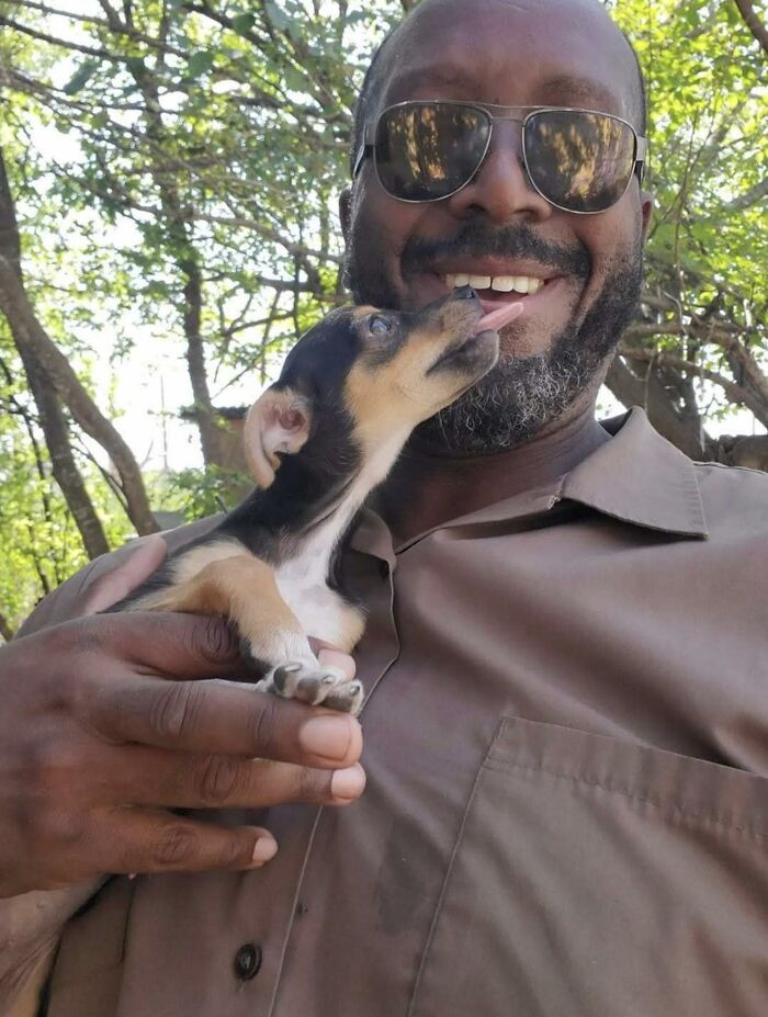 145 Times UPS Drivers Met Adorable Pets And Couldn’t Help But Brag (New Pics)