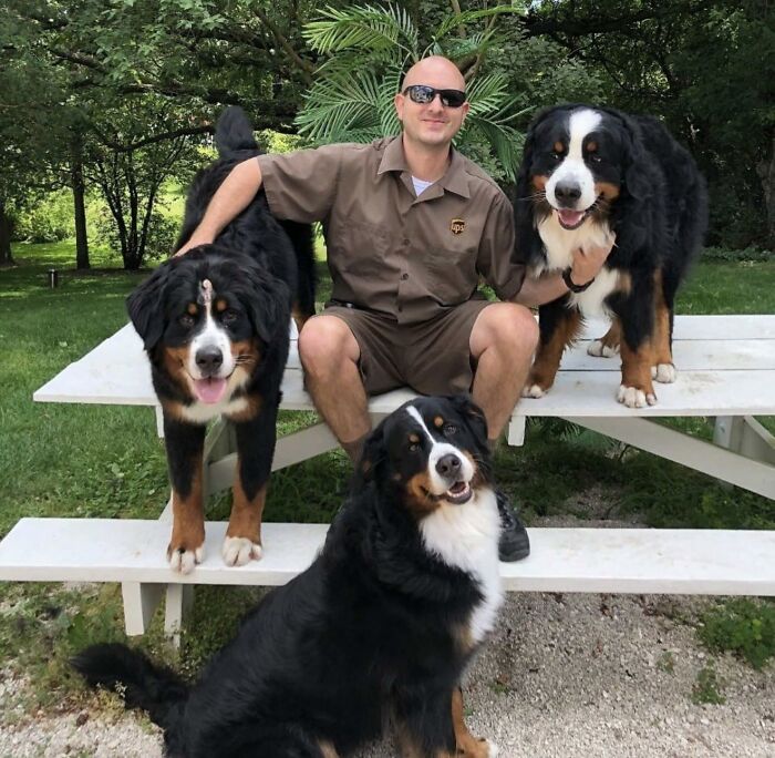 145 Times UPS Drivers Met Adorable Pets And Couldn’t Help But Brag (New Pics)