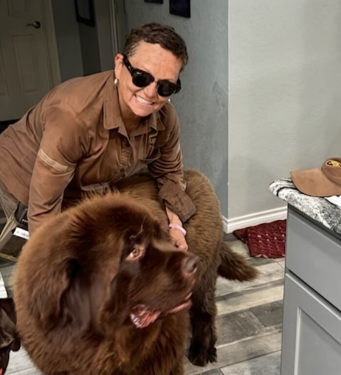 145 Times UPS Drivers Met Adorable Pets And Couldn’t Help But Brag (New Pics)