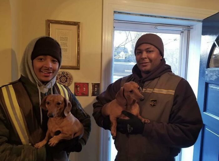 145 Times UPS Drivers Met Adorable Pets And Couldn’t Help But Brag (New Pics)