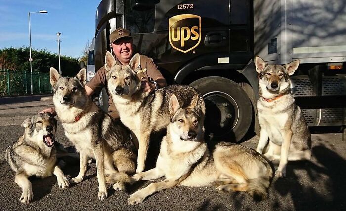 145 Times UPS Drivers Met Adorable Pets And Couldn’t Help But Brag (New Pics)