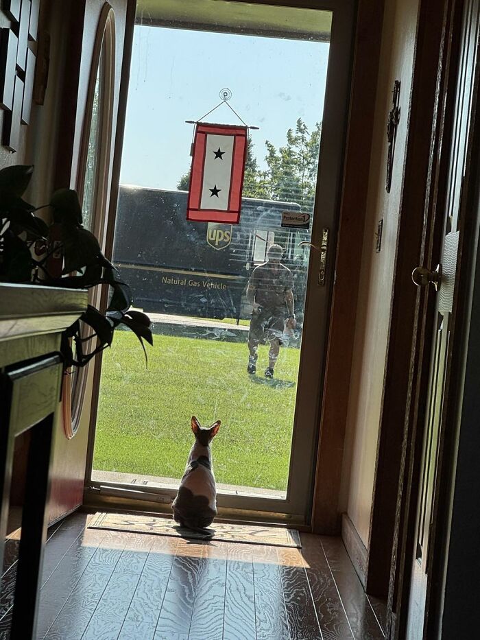 145 Times UPS Drivers Met Adorable Pets And Couldn’t Help But Brag (New Pics)