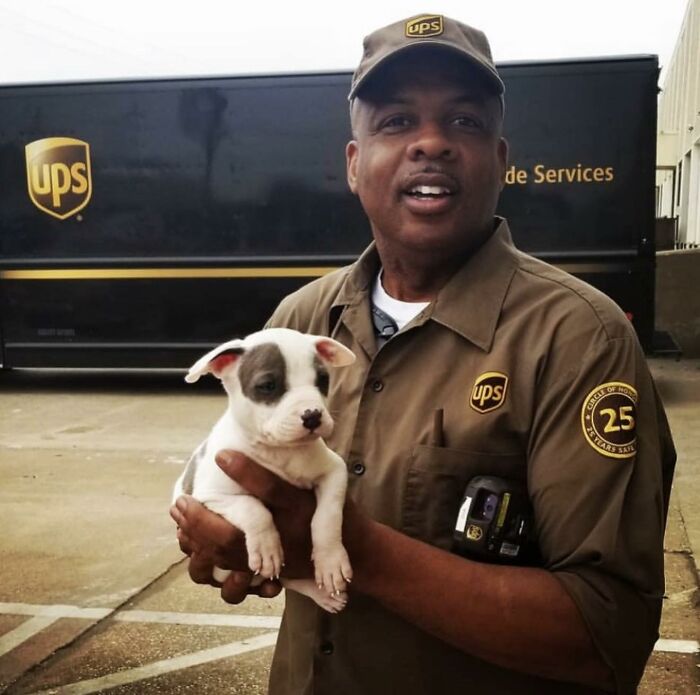 145 Times UPS Drivers Met Adorable Pets And Couldn’t Help But Brag (New Pics)