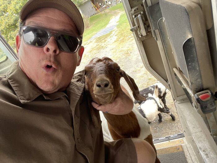145 Times UPS Drivers Met Adorable Pets And Couldn’t Help But Brag (New Pics)