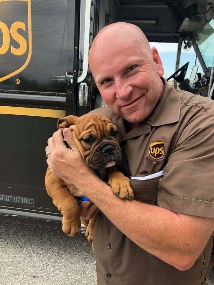 145 Times UPS Drivers Met Adorable Pets And Couldn’t Help But Brag (New Pics)