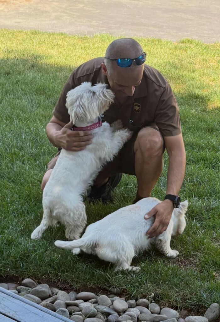 145 Times UPS Drivers Met Adorable Pets And Couldn’t Help But Brag (New Pics)