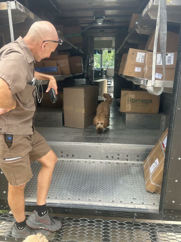 145 Times UPS Drivers Met Adorable Pets And Couldn’t Help But Brag (New Pics)