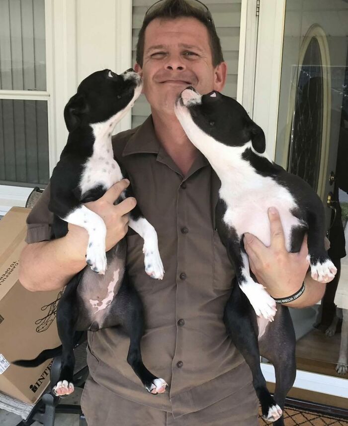 145 Times UPS Drivers Met Adorable Pets And Couldn’t Help But Brag (New Pics)